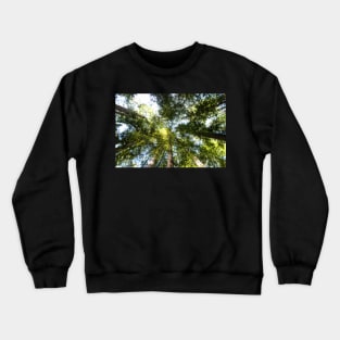 A view with a View Take Two Crewneck Sweatshirt